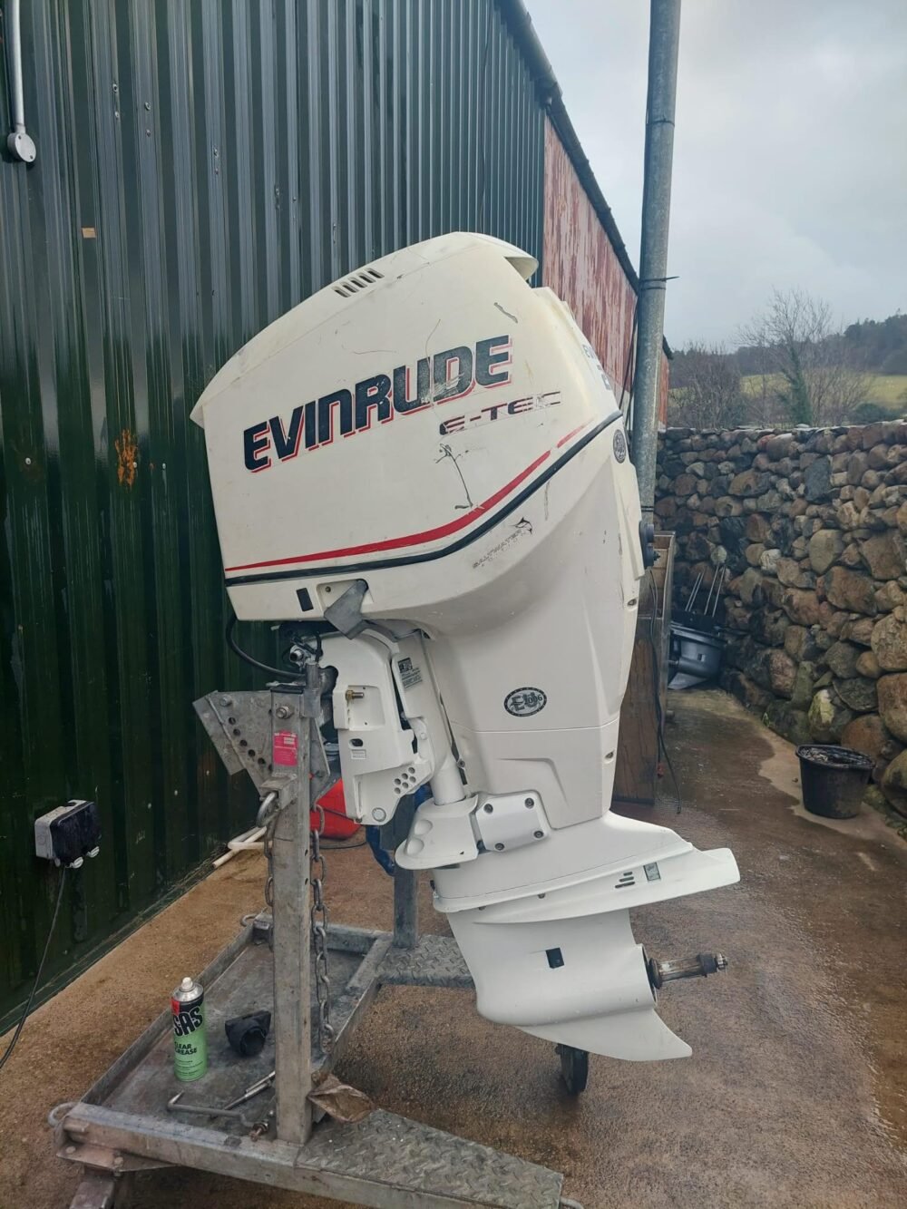 Used 200hp Evinrude Etec – Longshaft, electric start, remote control, PTT.